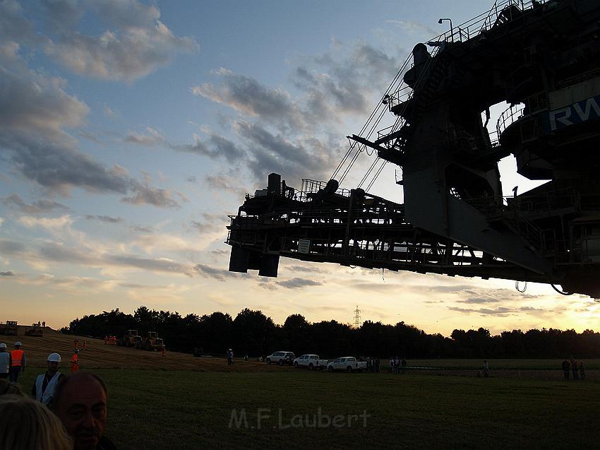 Bagger auf Reisen P231.JPG